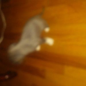 Meet your Posher, Clarence