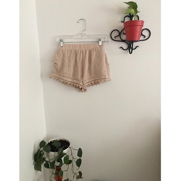 Beige Lace Shorts - Picture 1 of 1