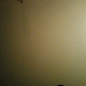 Meet your Posher, Evan