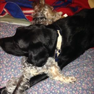 Meet your Posher, Joann