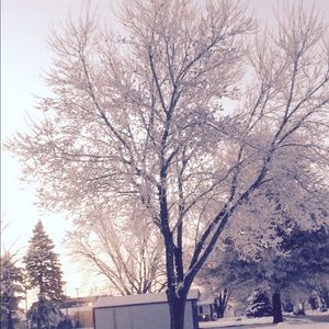 Meet your Posher, Kassi