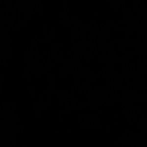 Meet your Posher, Joel