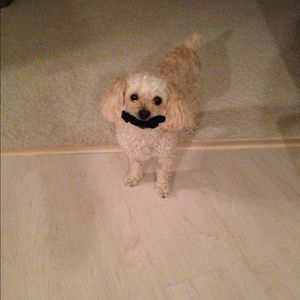 Meet your Posher, Jean