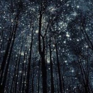 Meet your Posher, Mariah