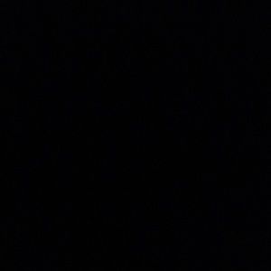 Meet your Posher, Connor