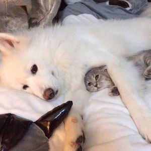 Meet your Posher, Wu