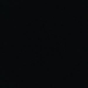 Meet your Posher, Irwin