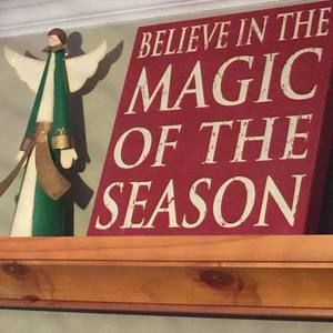 Meet your Posher, Ginger