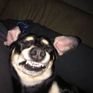 Meet your Posher, Stacey