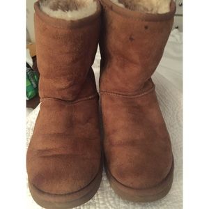 Short chestnut uggs