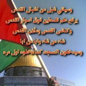 Meet your Posher, Ashraf