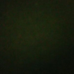 Meet your Posher, Kris