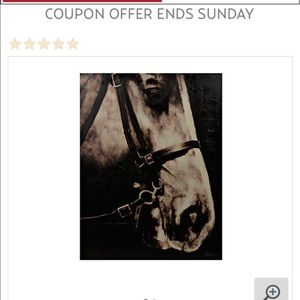 Meet your Posher, Holly