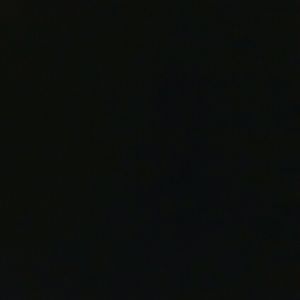 Meet your Posher, Abbey