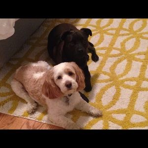 Meet your Posher, Andrea