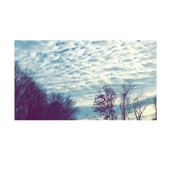 Meet your Posher, Meadow