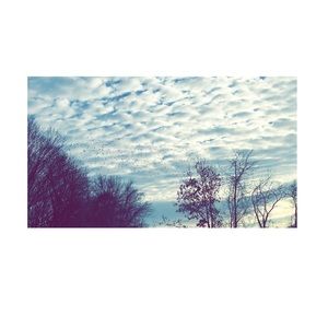 Meet your Posher, Meadow