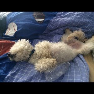 Meet your Posher, Karla