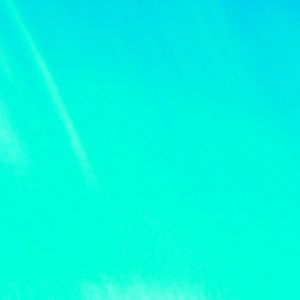 Meet your Posher, Louise