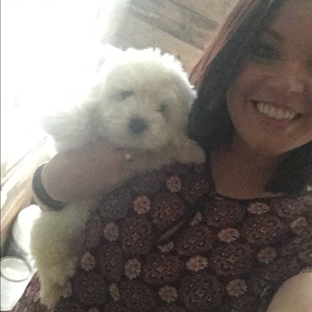Meet your Posher, Fallon