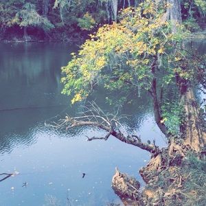 Meet your Posher, Mackenzie