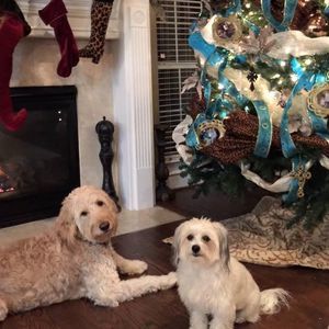 Meet your Posher, Kelsie