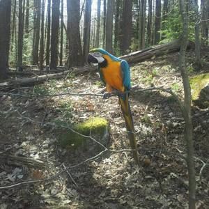 Meet your Posher, Dawn