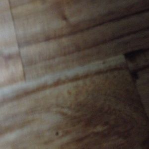 Meet your Posher, Terry