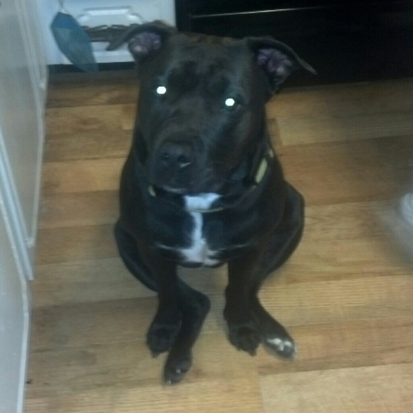 Meet your Posher, Stephanie - Picture 1 of 1