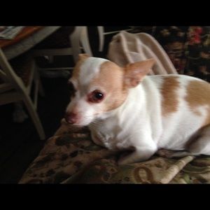 Meet your Posher, Agnes