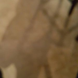 Meet your Posher, Marian