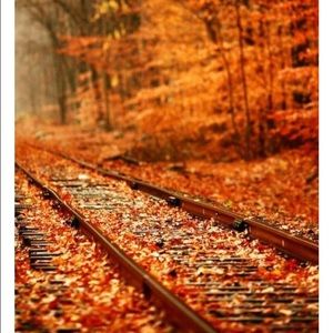 Meet your Posher, Robynn