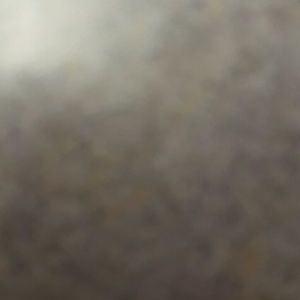 Meet your Posher, Caleb