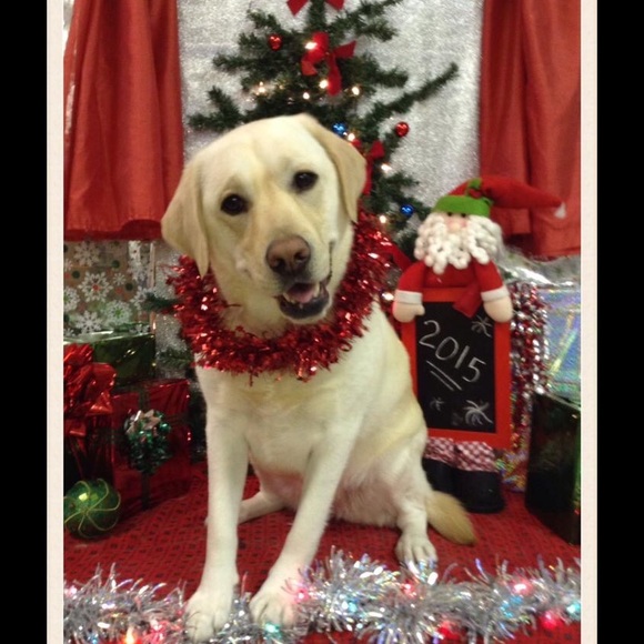 Meet your Posher, Cindy - Picture 1 of 1