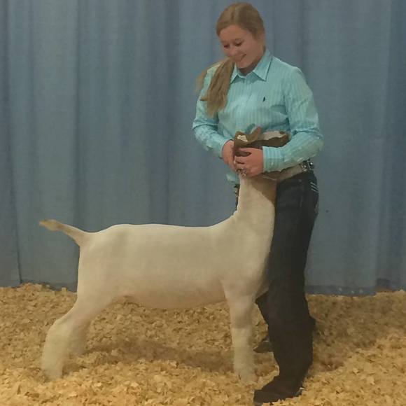 Meet your Posher, Kim - Picture 1 of 1