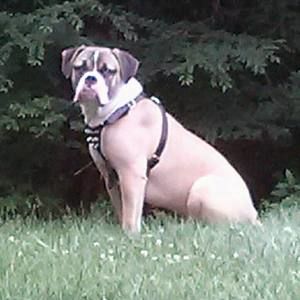 Meet your Posher, Donna