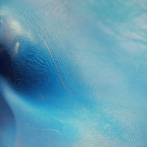 Meet your Posher, Philip