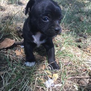 Meet your Posher, Meir