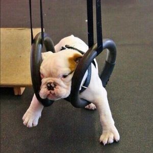 Meet your Posher, Clay