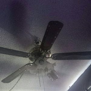 Meet your Posher, Hector