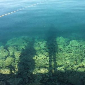 Meet your Posher, Serena