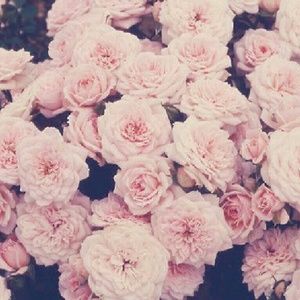 Meet your Posher, Jaydan