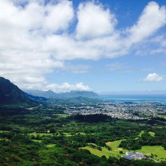 Meet your Posher, Marsha - Picture 1 of 1