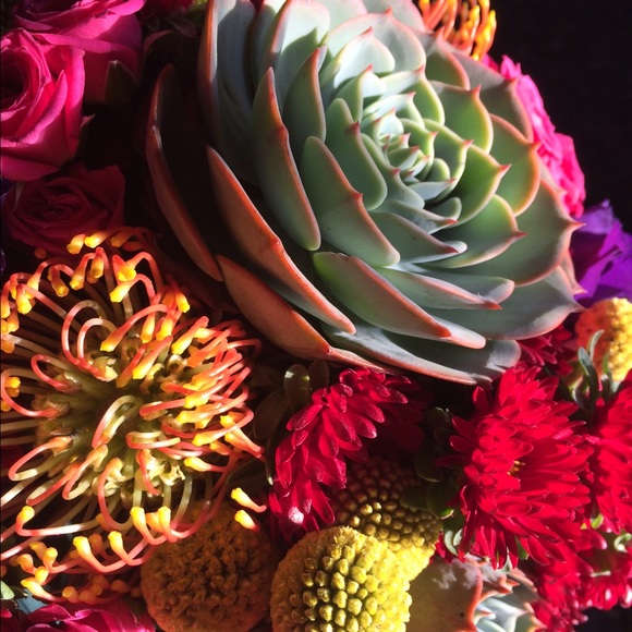 Meet your Posher, Jasmine - Picture 2 of 2