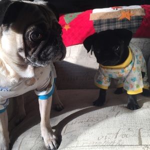 Meet your Posher, Corinne