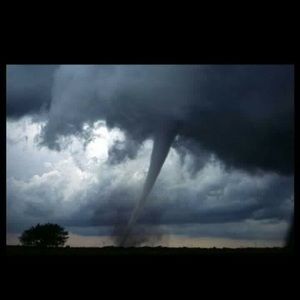 Meet your Posher, Audrey