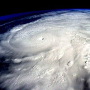 Meet your Posher, Albert