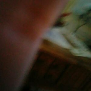 Meet your Posher, Colene