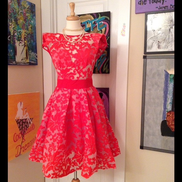 Red Embroidered Organza Dress - Picture 3 of 6