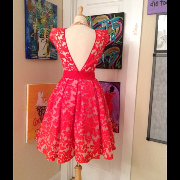 Red Embroidered Organza Dress - Picture 5 of 6